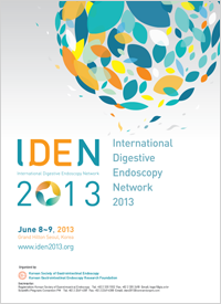 IDEN 2013