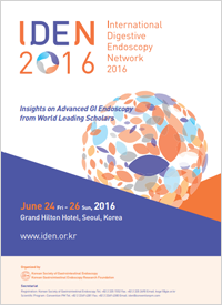 IDEN 2016